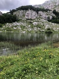 Scenic view of lake by trees against sky