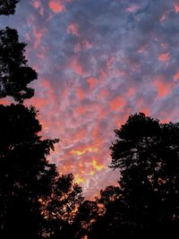 Low angle view of silhouette trees against sky at sunset