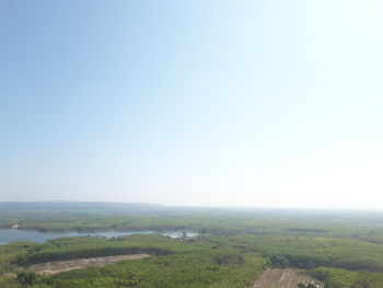 Scenic view of agricultural landscape against clear sky