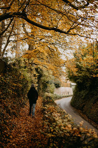 Rear view of people walking on footpath during autumn