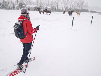 Snowshoes hiker walk at horse farm. winter season in low mountains.