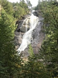 Low angle view of waterfall in forest