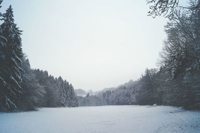 Scenic view of snow covered landscape