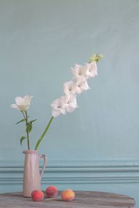 Close-up of white flowers in vase on table against wall