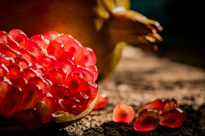 Close-up of red berries