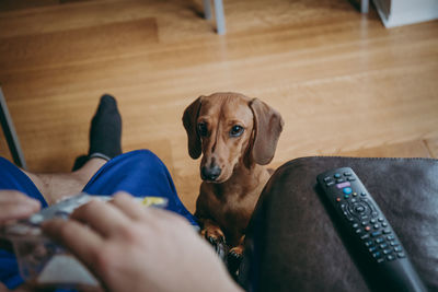 Low section of man sitting on chair by dog at home