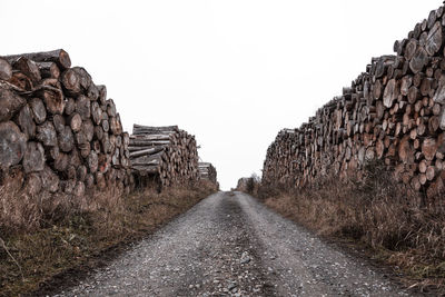 Road amidst tree trunks against clear sky