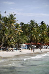 Palm trees and tourists on beach