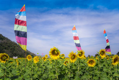 Low angle view of multi colored flag on field against sky