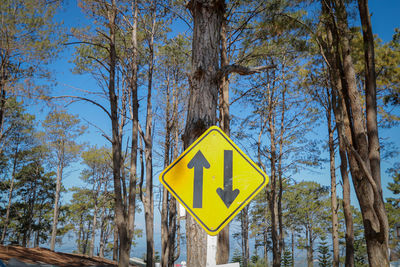 Road sign by trees against blue sky