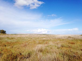 Scenic view of landscape against blue sky