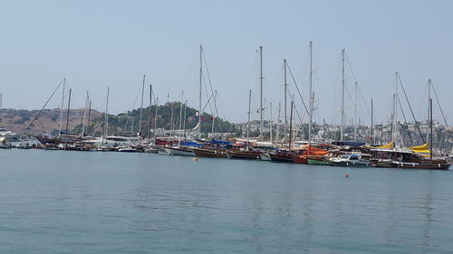 Boats in harbor