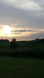 Scenic view of grassy field against sky