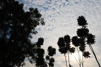 Low angle view of palm trees against cloudy sky