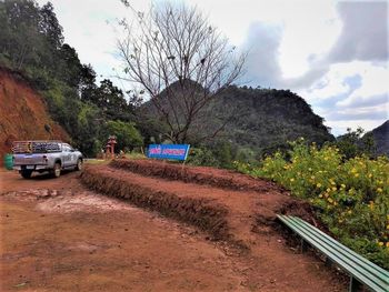 Car on dirt road by trees against sky