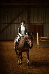 Young woman rider on dressage horse. an abstract shot of horse during