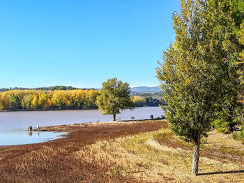 Scenic view of lake against clear sky