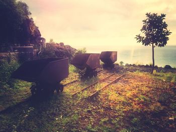 Scenic view of field against sky at sunset