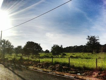 Road passing through field