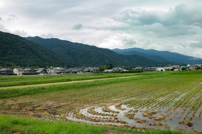 Scenic view of agricultural field against sky