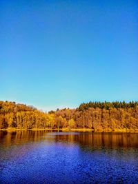 Scenic view of lake in forest against clear blue sky