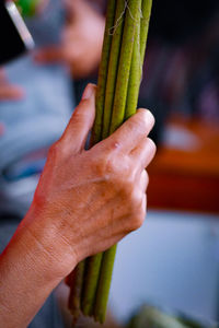 Close-up of hand holding leaf