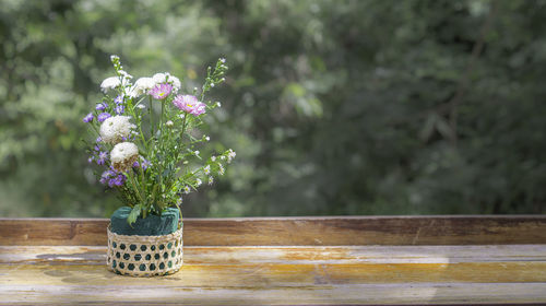 Close-up of flower pot on table