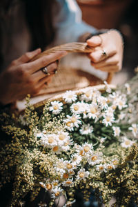 Female hands holding a wicker basket with a bouquet of fresh field daisies
