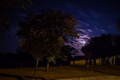 Silhouette trees on field against sky at night