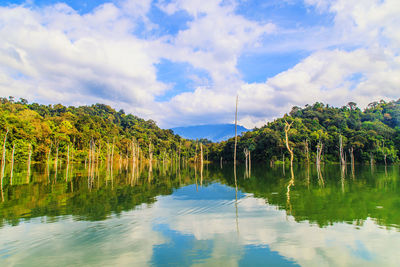 Scenic view of lake by trees against sky