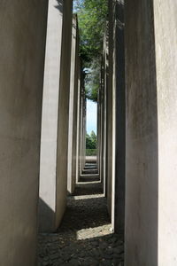 Narrow footpath amidst buildings