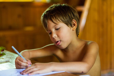 Portrait of boy looking at camera