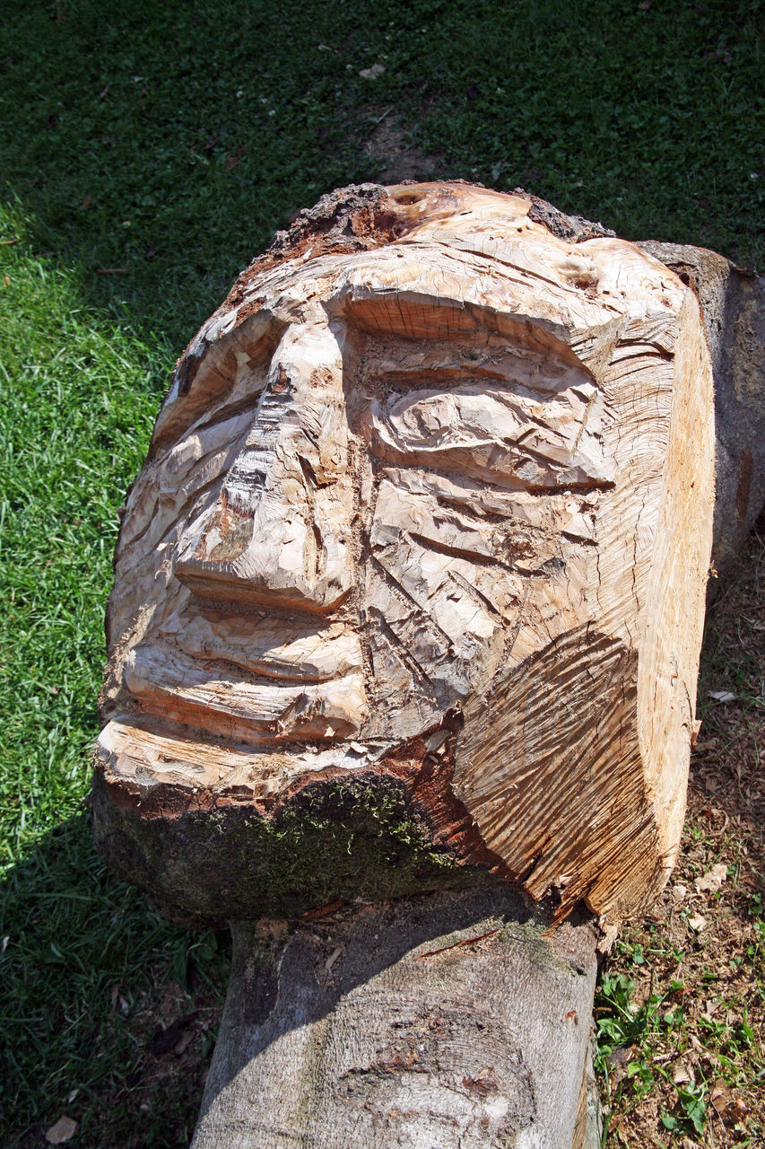 STONE ON TREE TRUNK ON GRASSY FIELD BY HISTORIC BUILDING