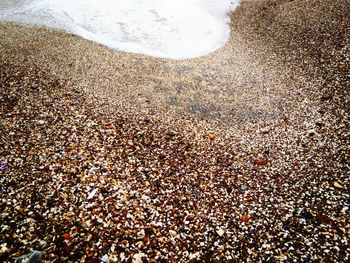 High angle view of pebbles on beach