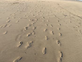 High angle view of footprints on sand at beach