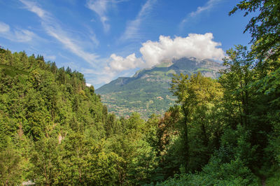 Forest with alpine mountains landscape and clouds in saint-gervais-les-bains, france.