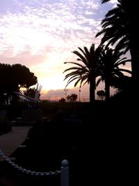 Silhouette palm trees against sky during sunset