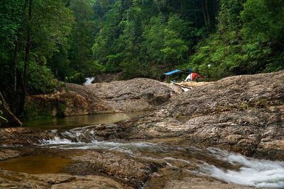 River flowing through rocks in forest