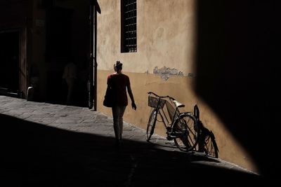 Shadow of tree on wall