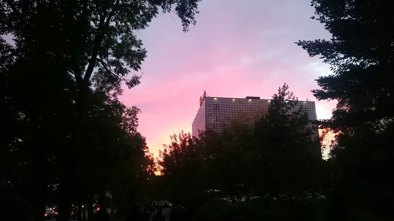 building exterior, tree, architecture, built structure, sky, silhouette, city, sunset, low angle view, tower, tall - high, growth, skyscraper, cloud - sky, dusk, building, city life, outdoors, orange color, cloud