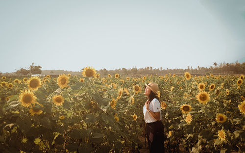 Young woman standing by sunflowers against sky