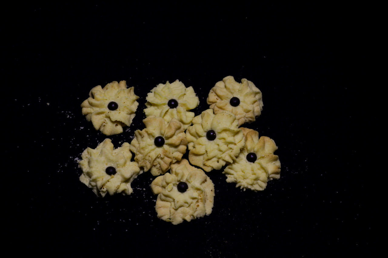 CLOSE-UP OF YELLOW FLOWERS ON BLACK BACKGROUND