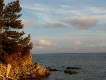 Scenic view of sea against sky