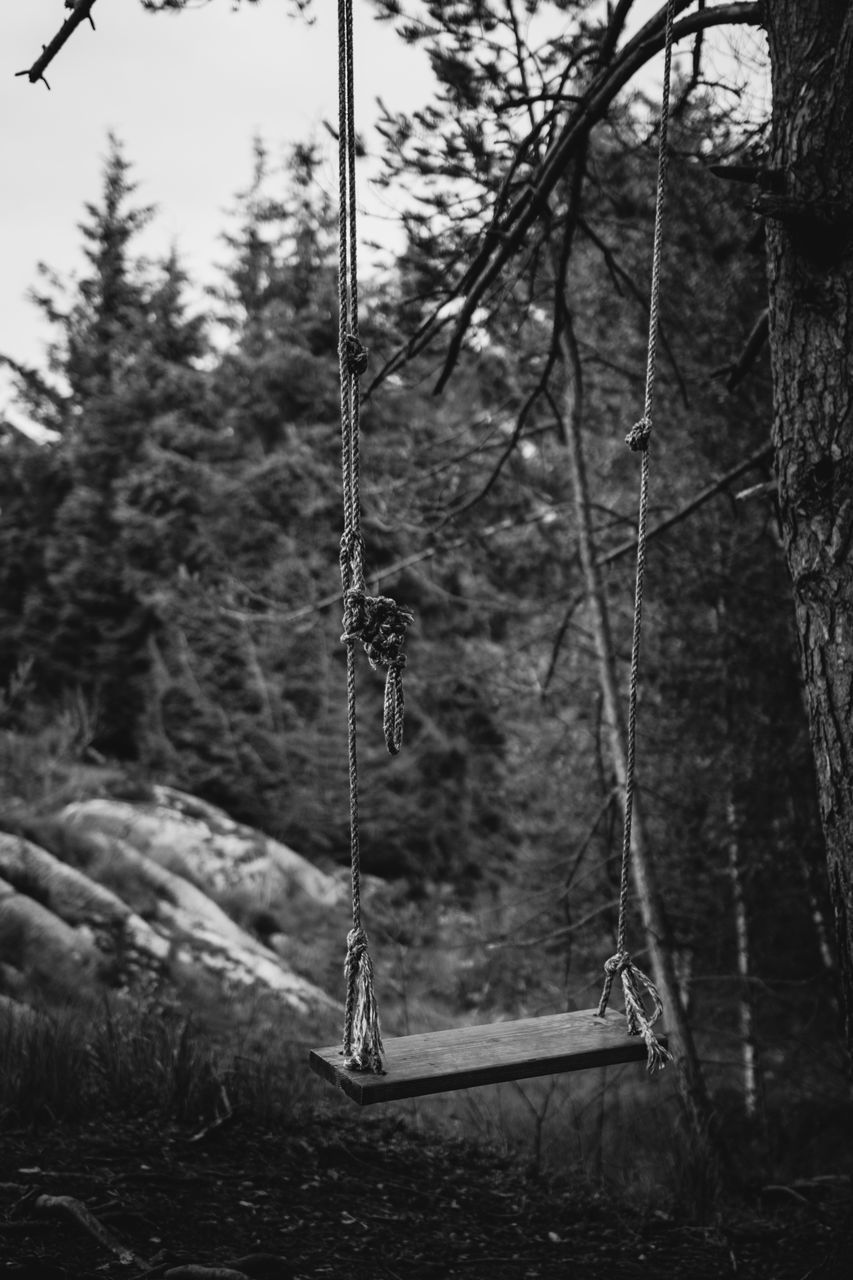 CLOSE-UP OF SWING HANGING ON ROPE