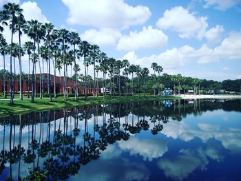 Palm trees and cloudy sky reflecting on calm lake