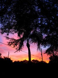 Low angle view of silhouette tree against sky