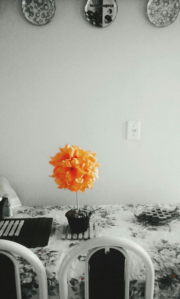 flower, indoors, yellow, wall - building feature, potted plant, vase, fragility, table, home interior, petal, orange color, wall, no people, freshness, flower head, close-up, plant, copy space, window, glass - material