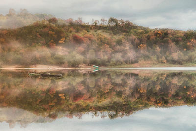 Reflection of trees in lake against sky