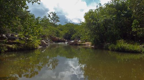 Scenic view of lake by trees against sky