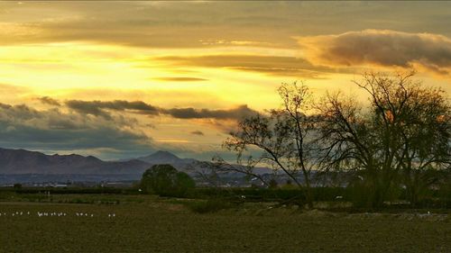 Scenic view of landscape against cloudy sky